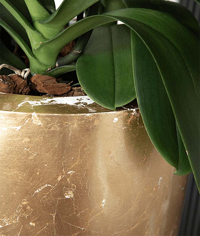 Luxe Lite Glossy pot 35x75