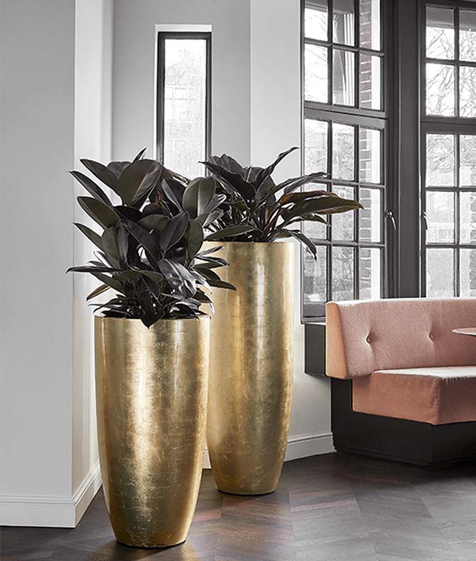 Metallic Glossy Gold