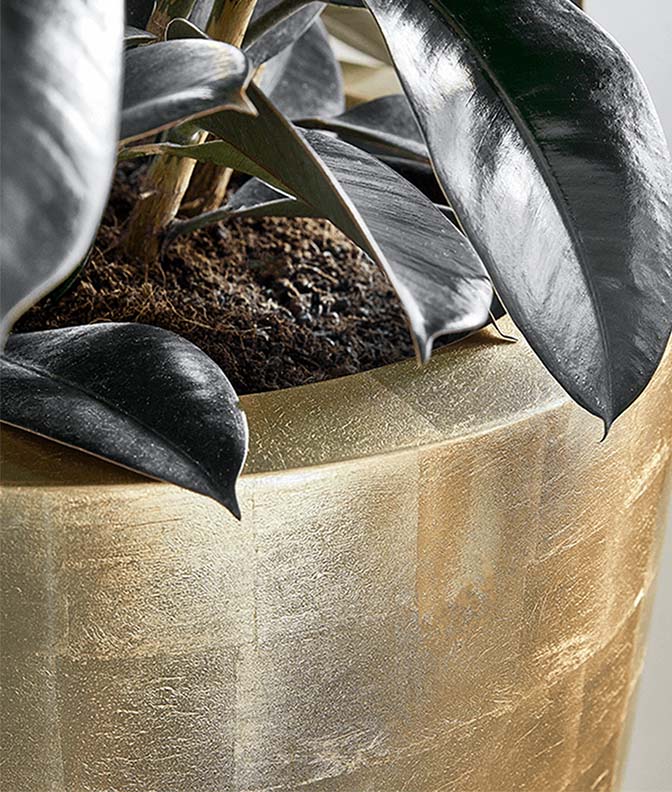 Metallic Glossy Gold