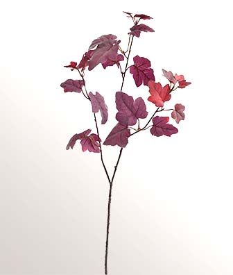 Feuille branche rose