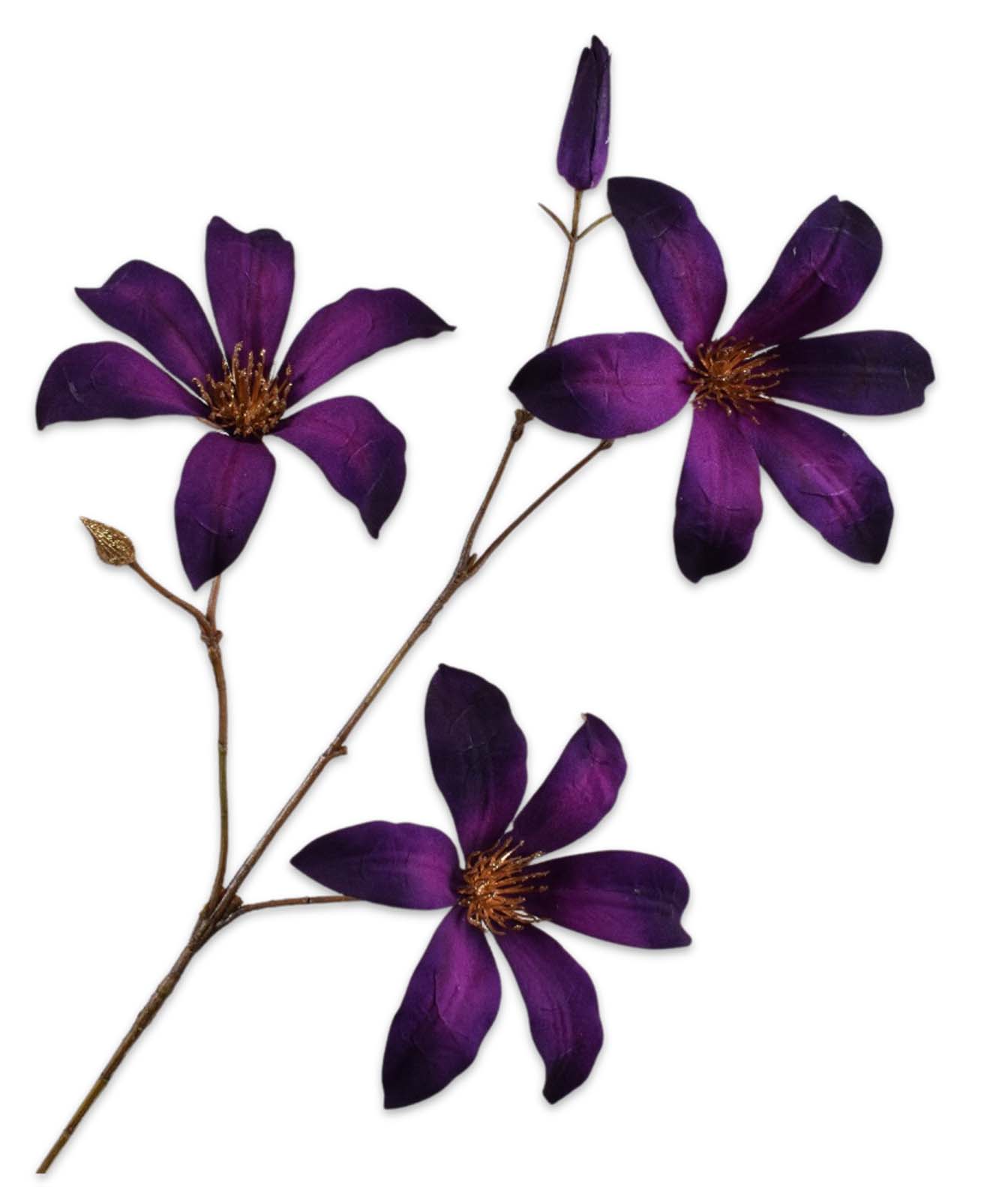 Clematis tak