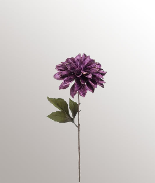 Dahlia spray velours ligne dorée