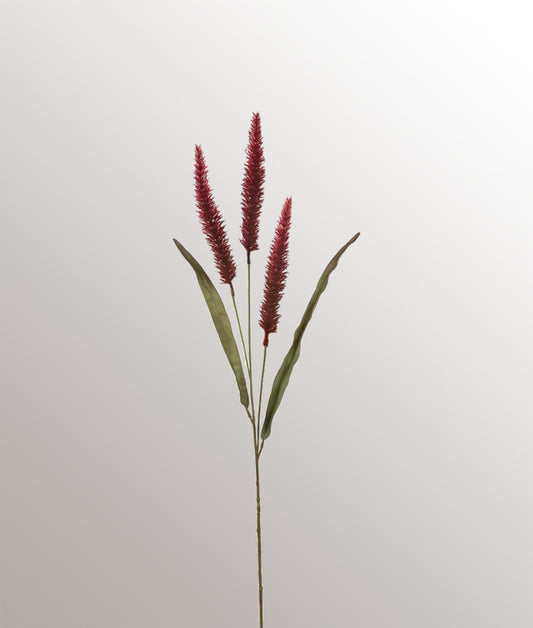 Pennisetum 3 panicules Rouge