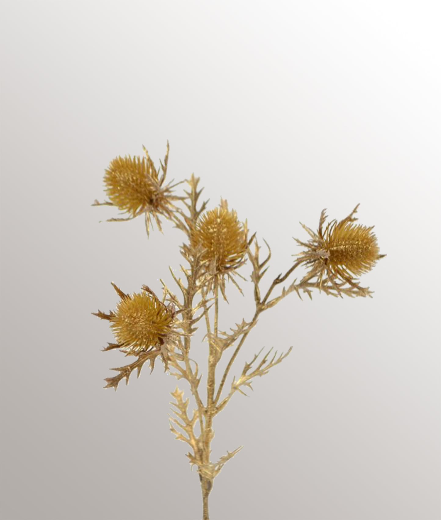 Distel x4 Metallic goud